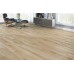 Laminate AGT Natura Line 8mm 501