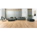 Laminate Floorpan Natural 10mm 009 Lefkas