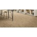 PVC Expoline 060L Golden Oak