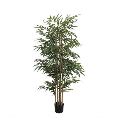 BAMBOO NP824_153 Ύψος 153cm