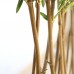 BAMBOO IN POT (L90*W30) NP827_180_UV Ύψος 180cm