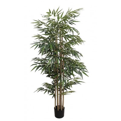 BAMBOO NP828_210_UV Ύψος 210cm