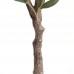 OLIVE TREE NP439_150 Ύψος 150cm