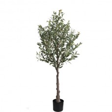 OLIVE TREE NP439_150 Ύψος 150cm