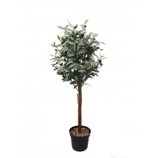 OLIVE TREE NP459_120 Ύψος 120cm