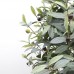 OLIVE TREE NP459_120 Ύψος 120cm