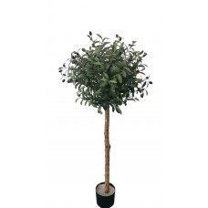 OLIVE TREE NP5807_150_22_UV Ύψος 150cm