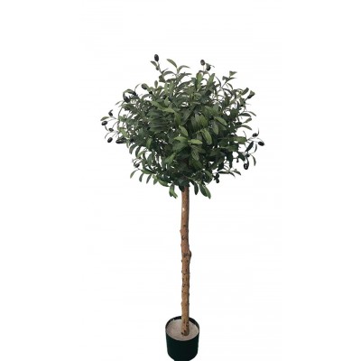 OLIVE TREE NP5807_150_22_UV Ύψος 150cm