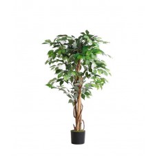 FICUS TREE NP0078_120 Ύψος 120cm