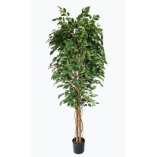 FICUS TREE NP230_210_UV Ύψος 210cm