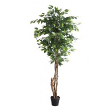 FICUS TREE NP5208_150 Ύψος 150cm