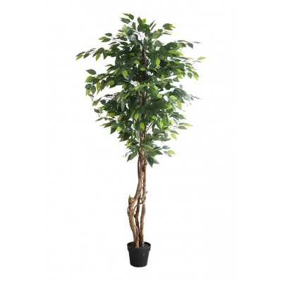 FICUS TREE NP5208_150 Ύψος 150cm