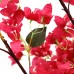 BOUGAINVILLEA NP0421_210 Ύψος 210cm