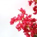 BOUGAINVILLEA NP0422_170 Ύψος 170cm