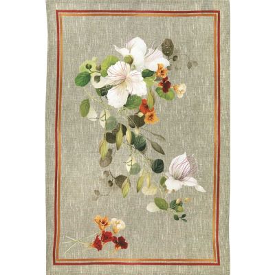 Σετ 6τμχ Πετσέτες Biscondola Cotton Orange 50x70cm